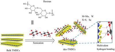 A Review of Transition Metal Dichalcogenides-Based Biosensors